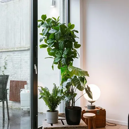 Huswell - Charming Urban Retreat, 15 Minutes From Station Antwerp